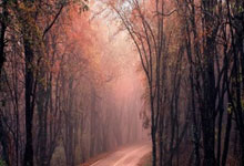 黑白直播在线观看nba-瓦伦西亚客场大胜，继续稳坐积分榜前列