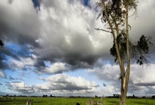 黑白直播网-绝境铸就传奇！浙江队钢铁洪流2球逆转背后的默契密码