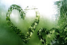 黑白直播nba-鹿岛鹿角主场迎战卡尔蒂斯，锋线火力引爆看点