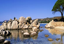 黑白直播在线观看nba-昆士巴克主场失分，需要调整