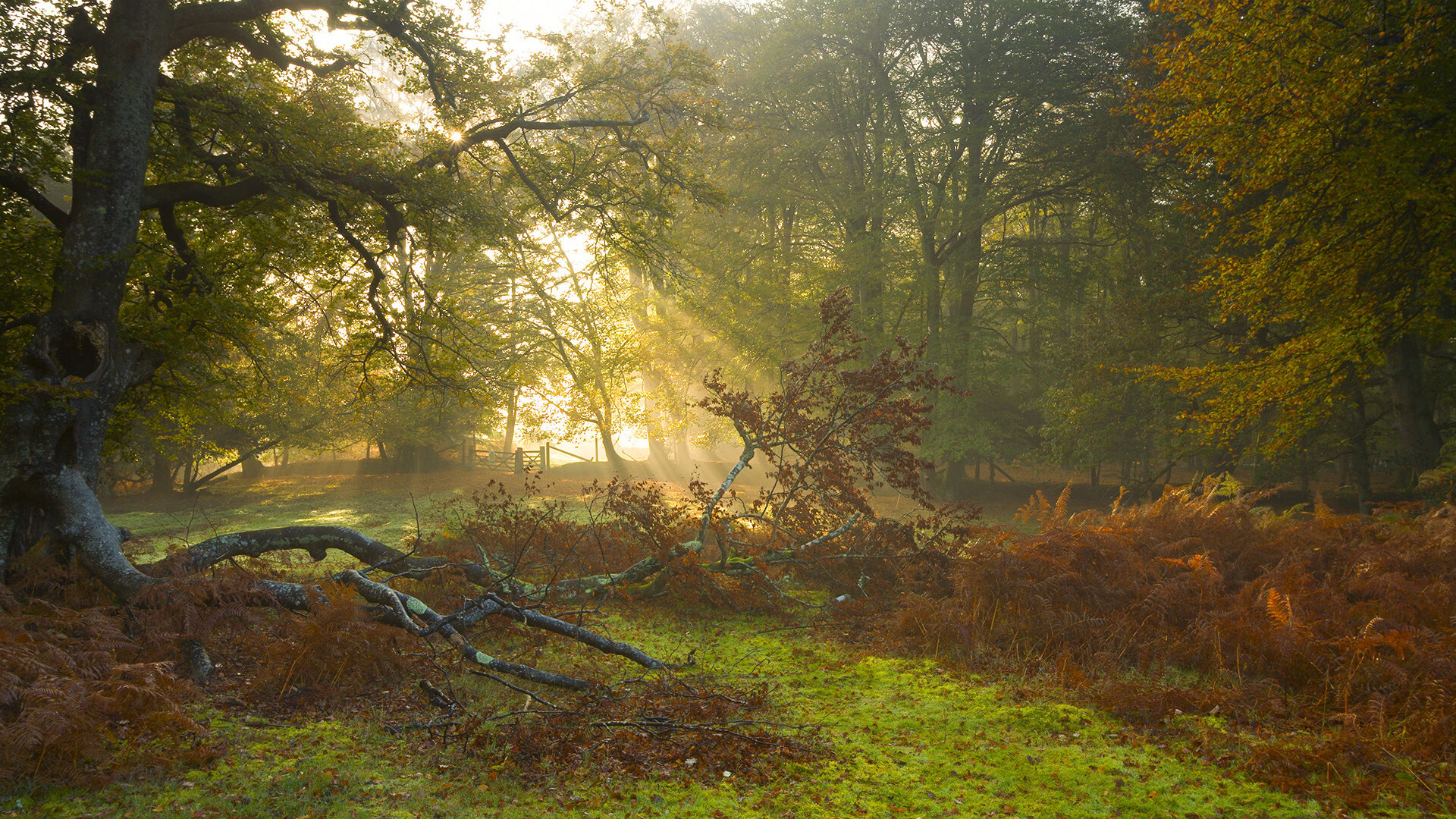 羽林烽烟起,三晋破长空,山西队决战老鹰队,一战撼动世界版图