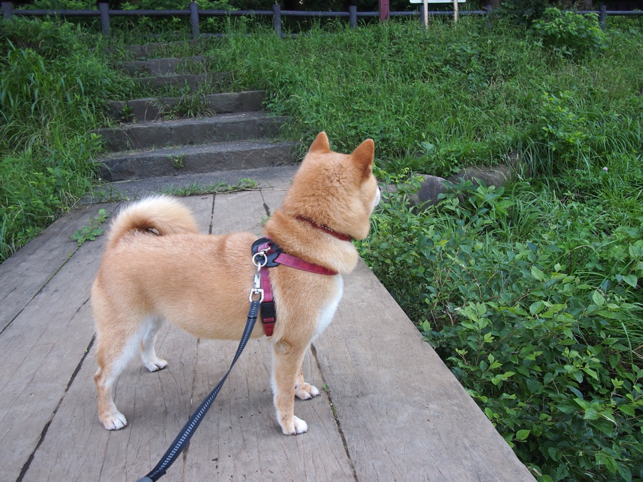 黑白直播在线观看-三分雨与快打旋风,爱德华兹爆发与奇才节奏给辽宁队的启示