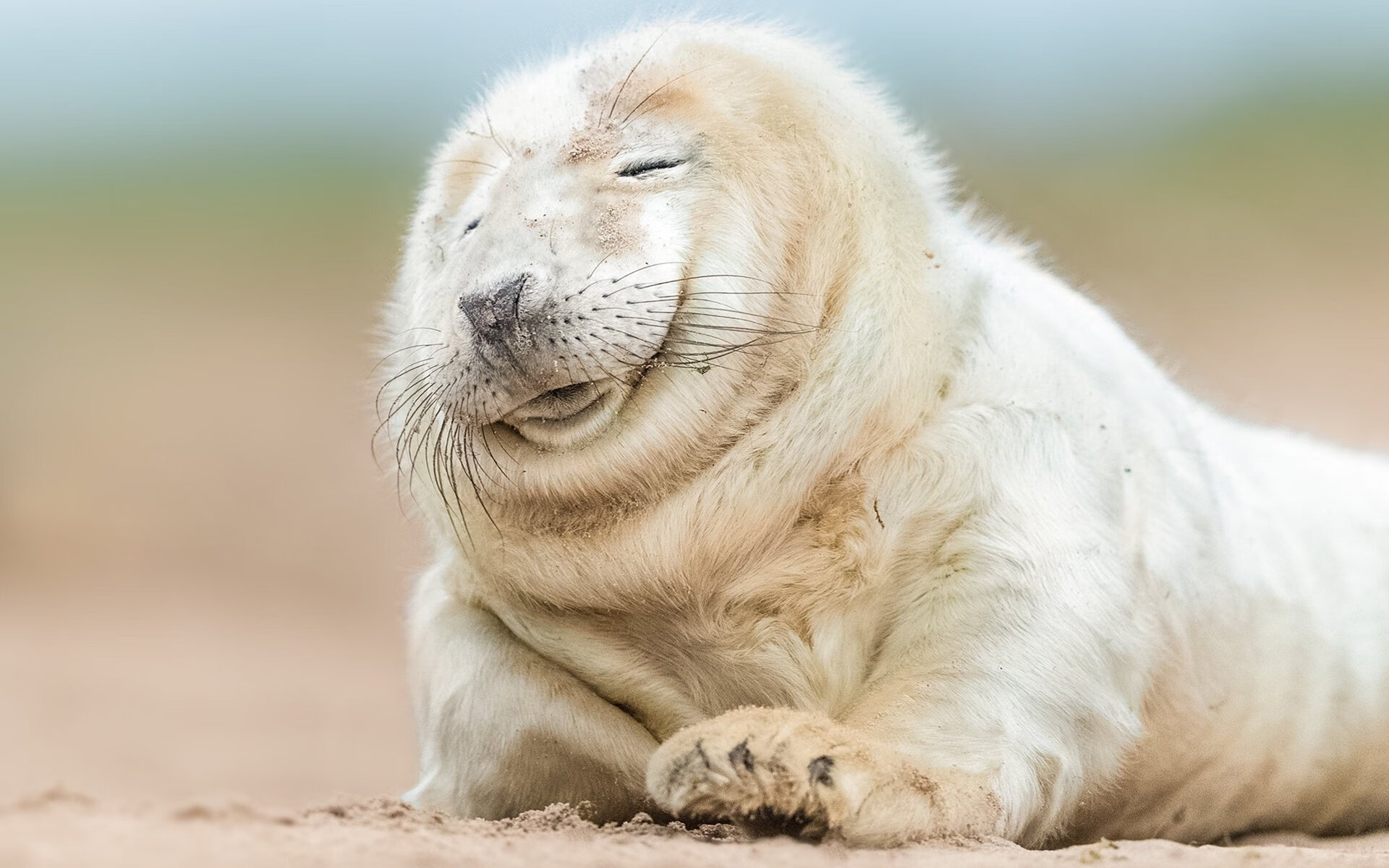 黑白直播在线观看-英超争冠之夜，范弗利特攻防两端的绝对统治