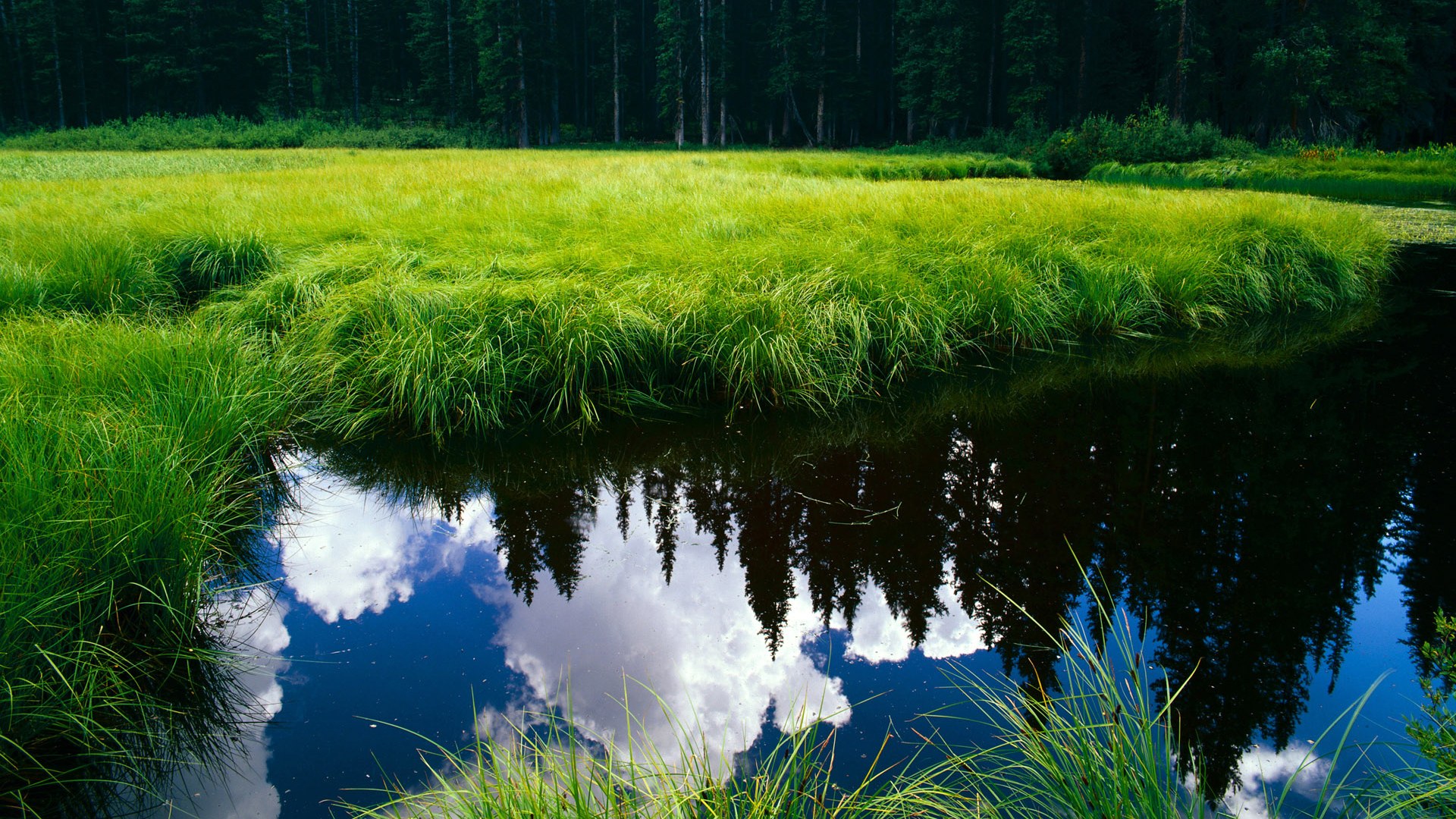 霍勒迪里程碑之夜，灰熊一波流强势击溃浙江队
