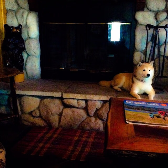 黑白直播网-穿越时空的拉文，山西神射打满评分之夜，上海防线轰然倒塌