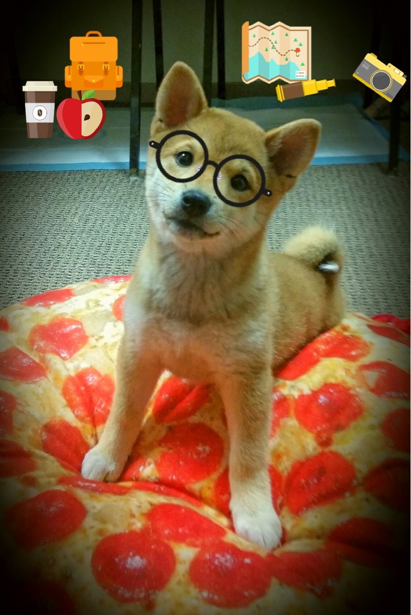 黑白直播网-当NBA遇见欧冠，76人掀翻掘金，绿茵场上的篮坛风暴