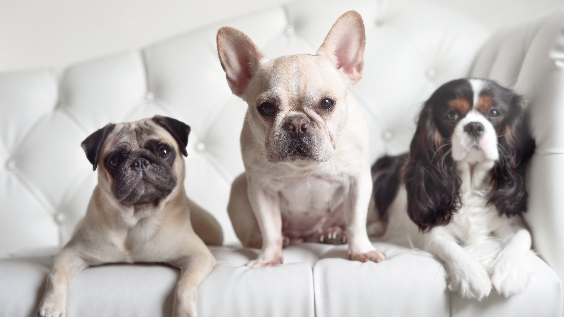 黑白直播nba-湖人铁血防守锁死太阳，爱德华兹无解表现征服赛场