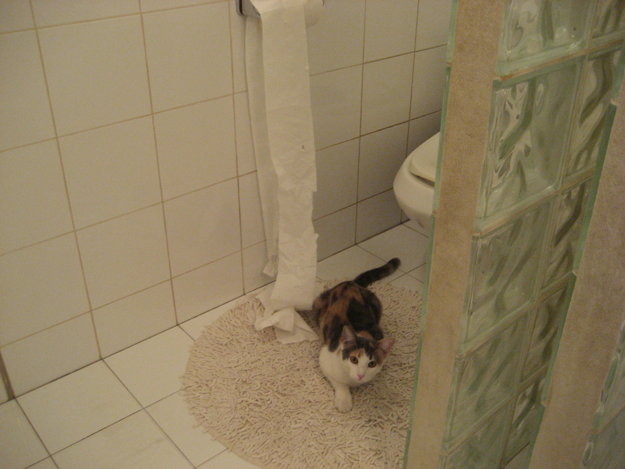 黑白直播-意甲焦点战之夜，莫兰特一手掌控比赛走势