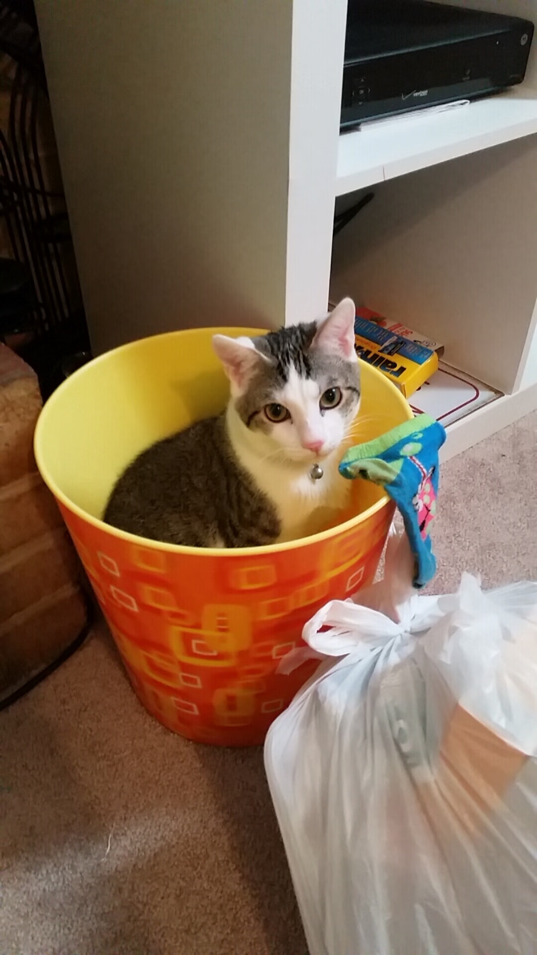 黑白直播nba在线观看-当极寒之焰吞噬紫金王朝，西亚卡姆爆发助吉林队上演惊天逆袭