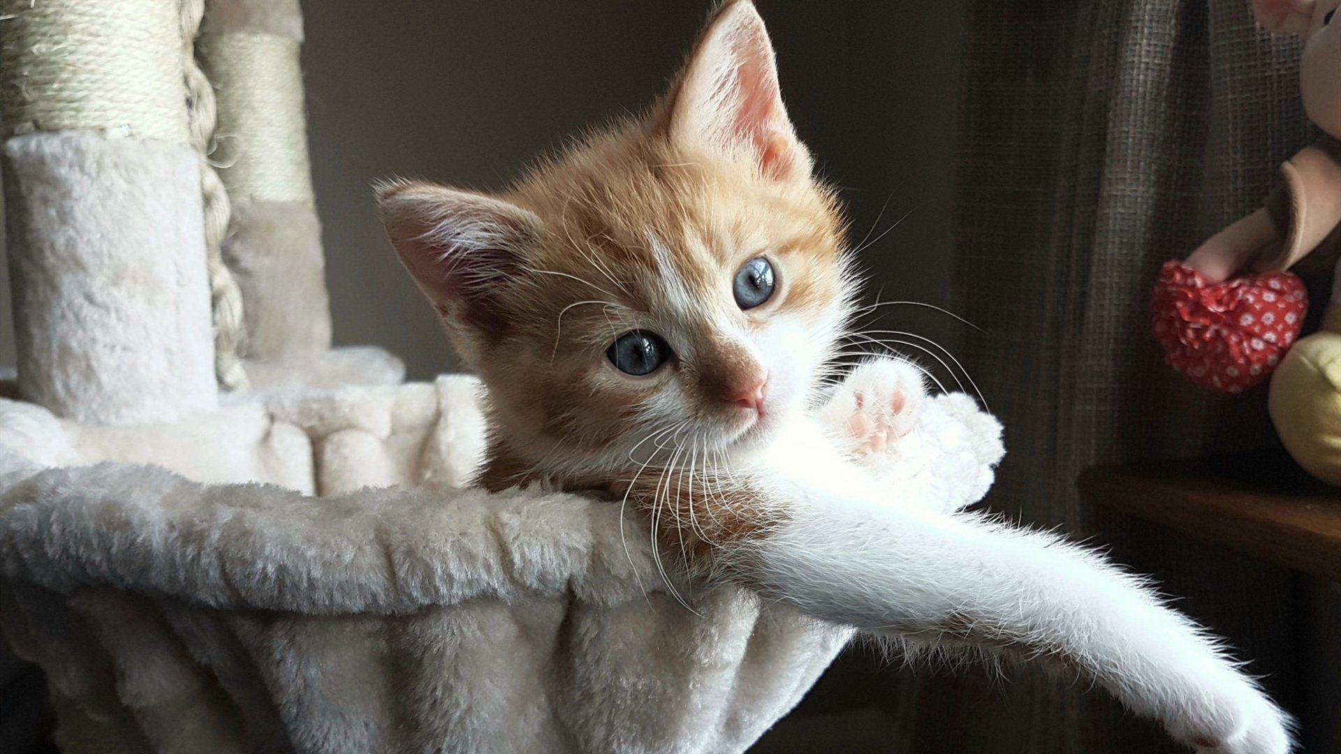 草根逆袭!2026世界杯焦点战,贝蒂斯掀翻红军,新王加冕之夜