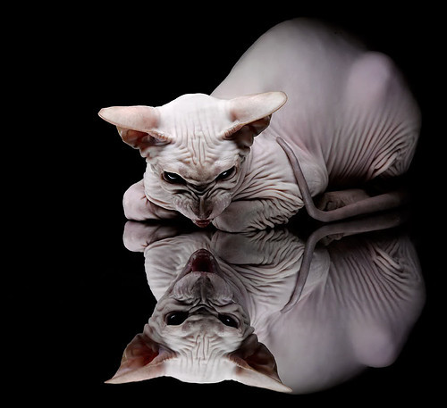 黑白直播nba-墨西哥提前终结悬念芬兰，卡马文加成关键先生助阵胜利