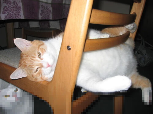 黑白直播体育-绿宝石之心，美加墨暴雨夜，哥伦比亚绝地逆转书写女足新章