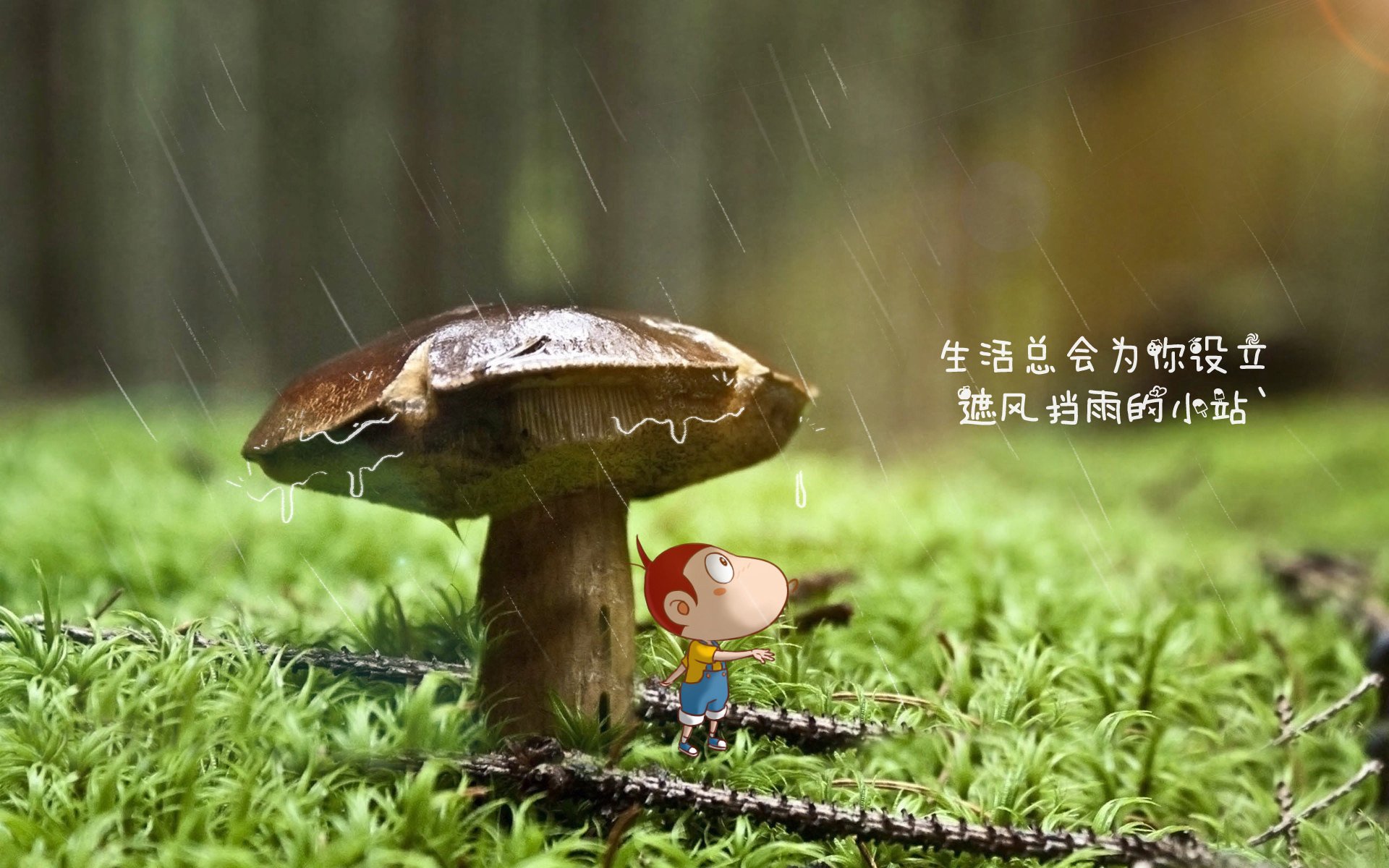黑白直播在线观看nba-帕尔默穿云箭撕裂钢铁防线，波兰火力终压制毕尔巴鄂铁骑