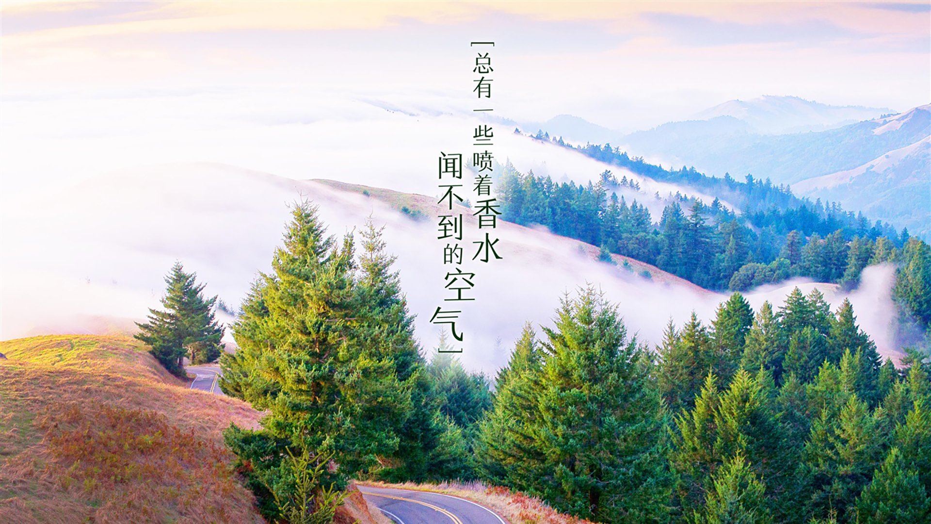 极速与博弈，从F1收官战到阿根廷洪都拉斯对决的胜负哲学