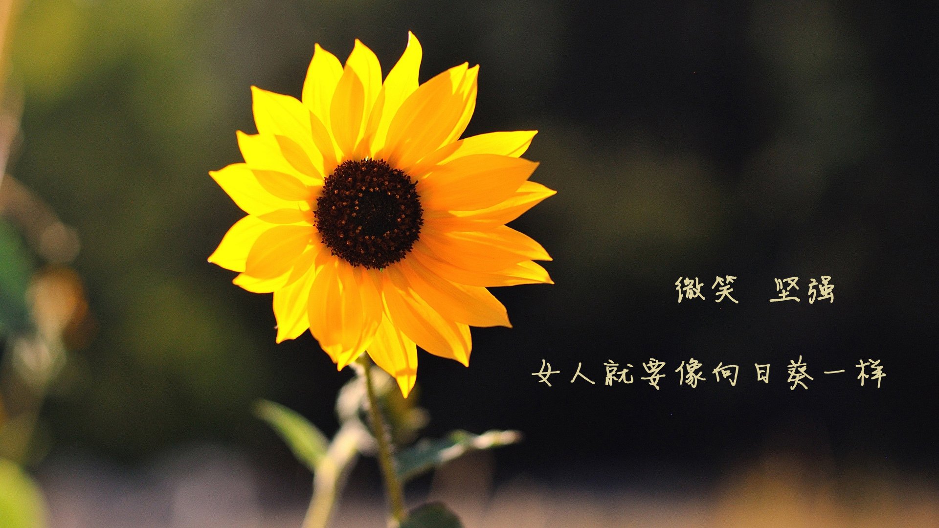 当尼日利亚篮球队完胜希腊，内马尔却在NBA总决赛接管了比赛，我们是否生活在某个体育的平行宇宙？