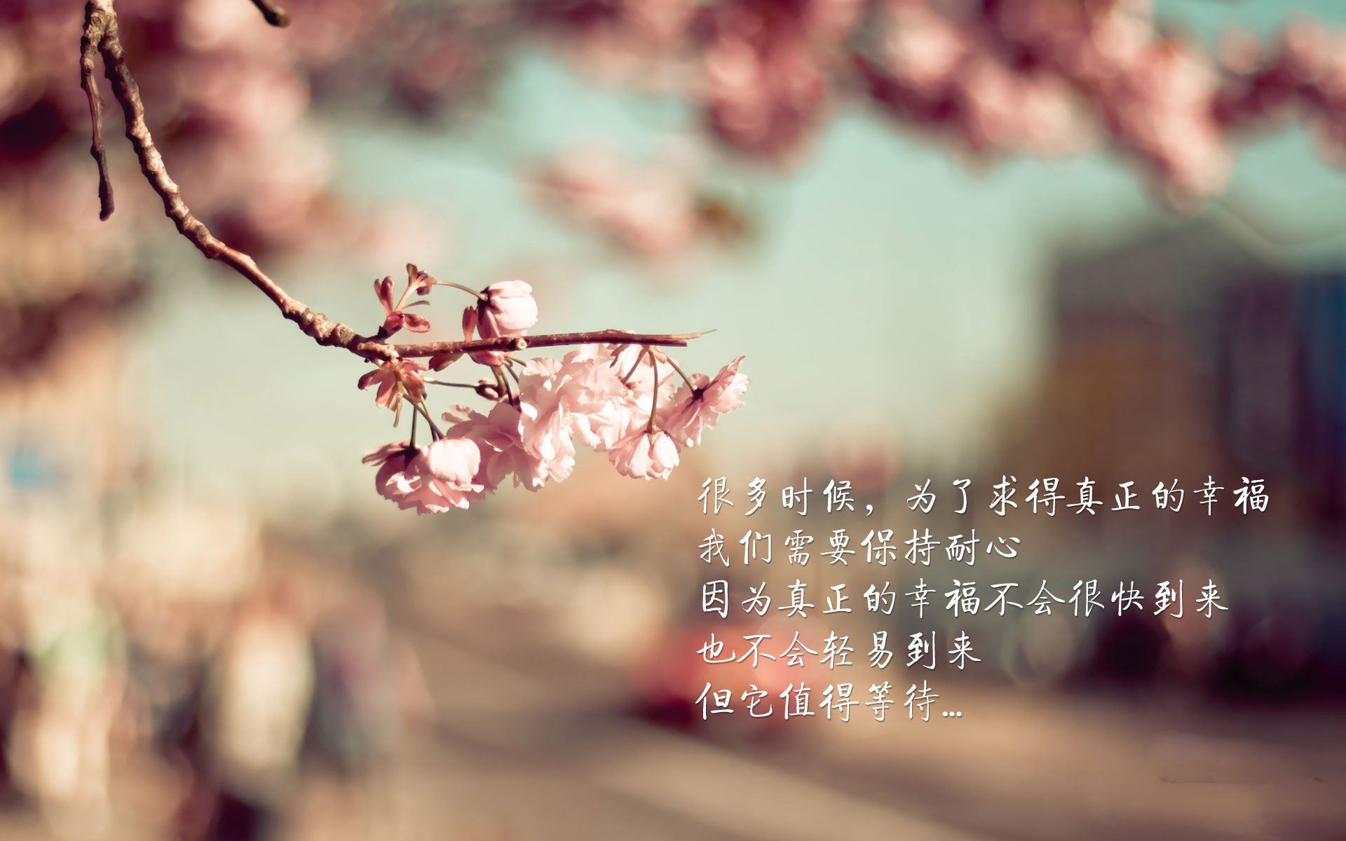 巴西对阵秘鲁，莫德里奇如何成为B组的隐形指挥家