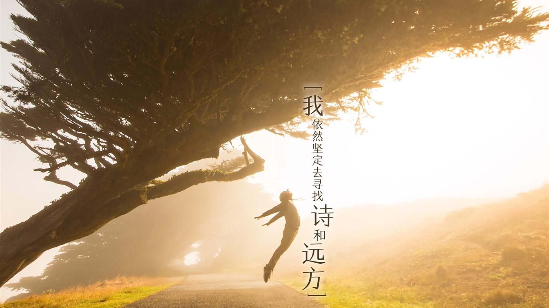英雄凯恩,2026世界杯四分之一决赛,哥伦比亚对阵波兰的转折点
