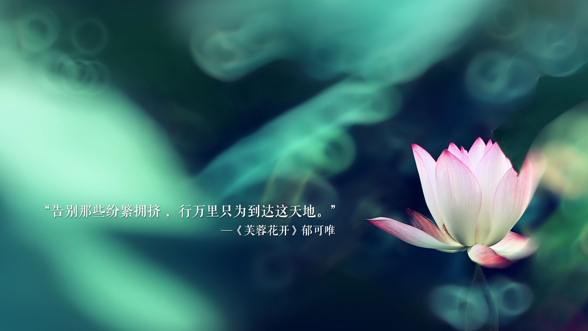 黑白直播在线观看-致命一击的华丽乐章，2026世界杯B组，西班牙绝杀秘鲁，坎塞洛书写攻守转换的完美诗篇